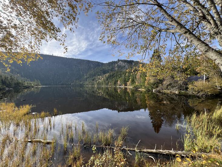 Plešné jezero